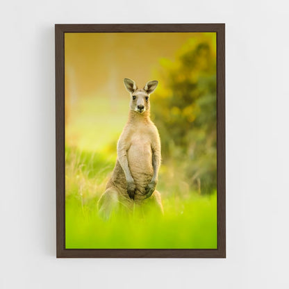 kangaroo-9 cadre Bois foncé