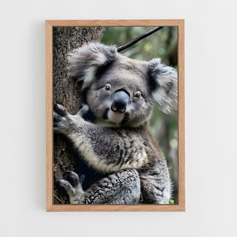 koala-1 cadre Bois clair