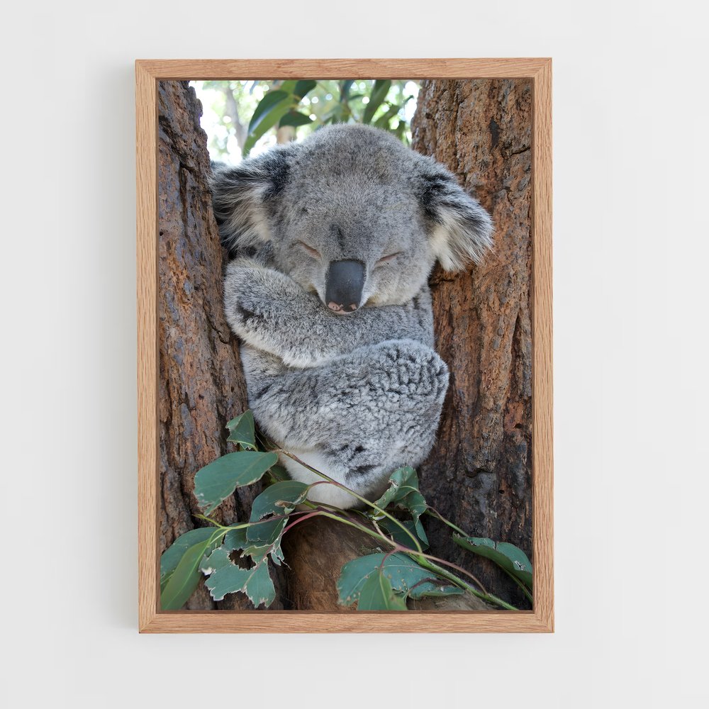 koala-7 cadre Bois clair