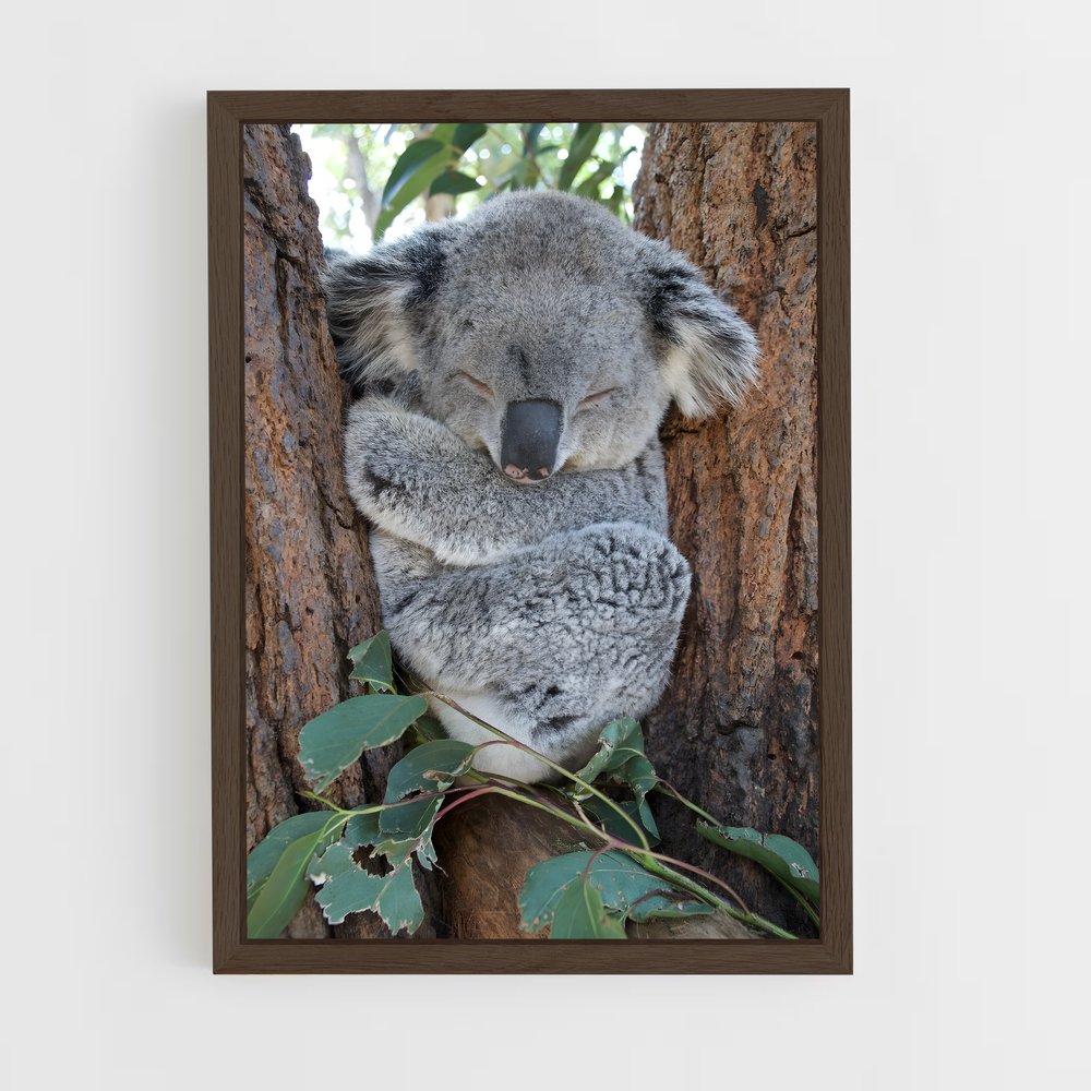 koala-7 cadre Bois foncé