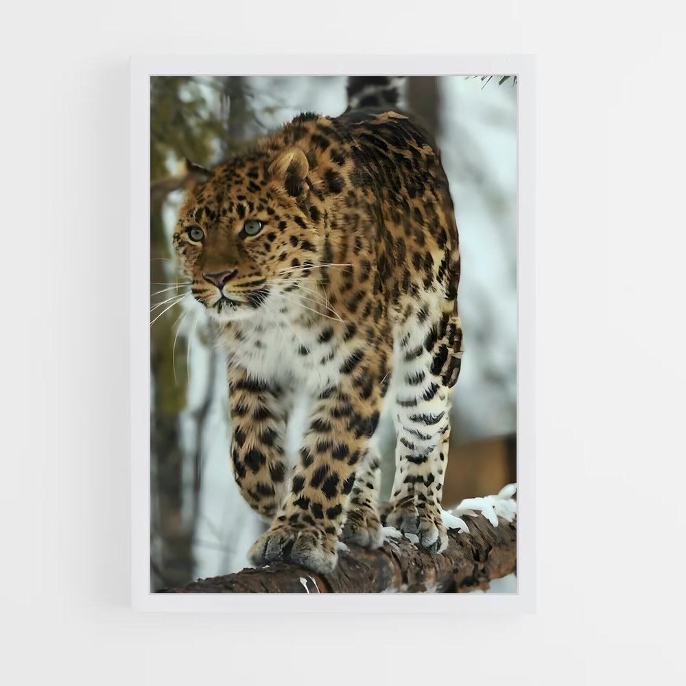leopard-10 cadre Blanc
