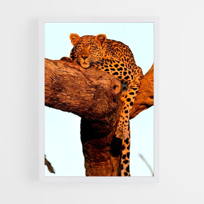 leopard-11 cadre Blanc