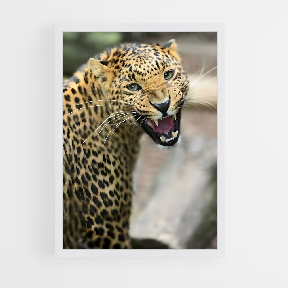 leopard-5 cadre Blanc