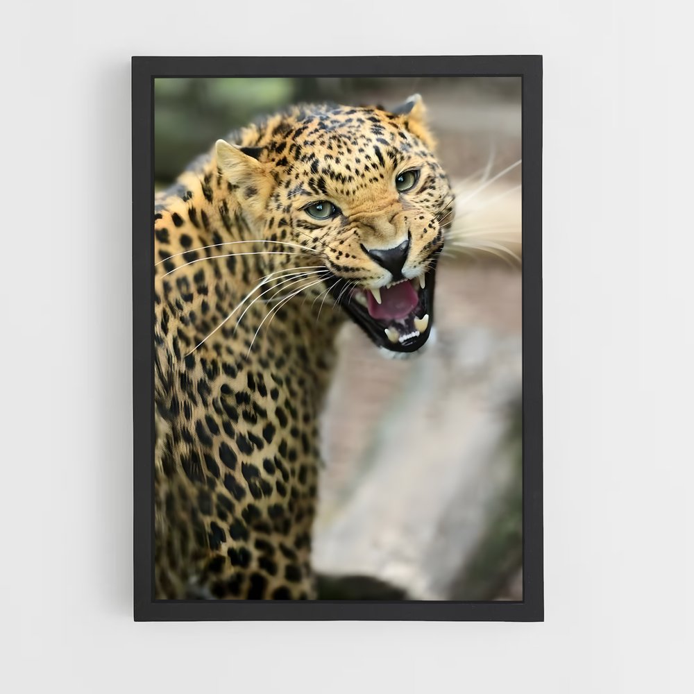 leopard-5 cadre Noir