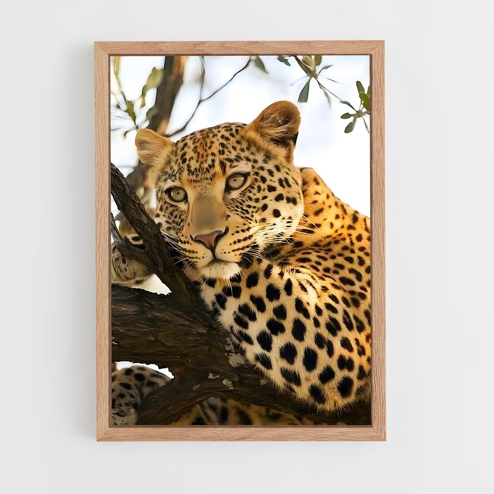 leopard-6 cadre Bois clair