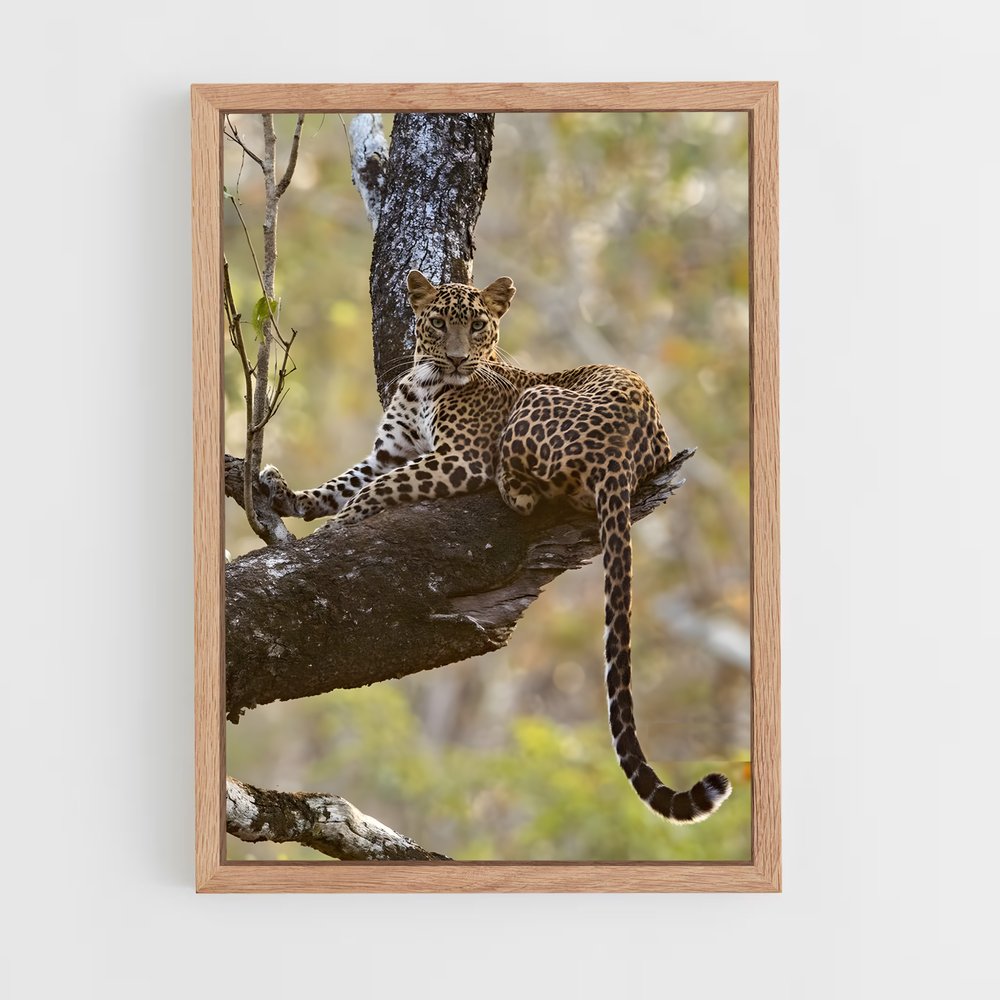 leopard-9 cadre Bois clair