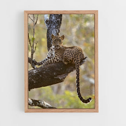 leopard-9 cadre Bois clair