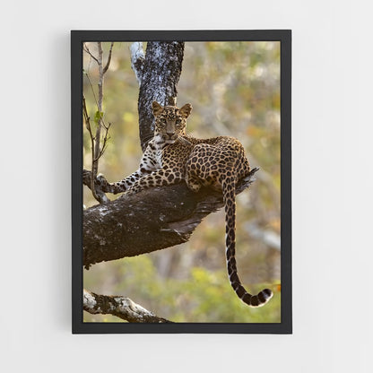 leopard-9 cadre Noir