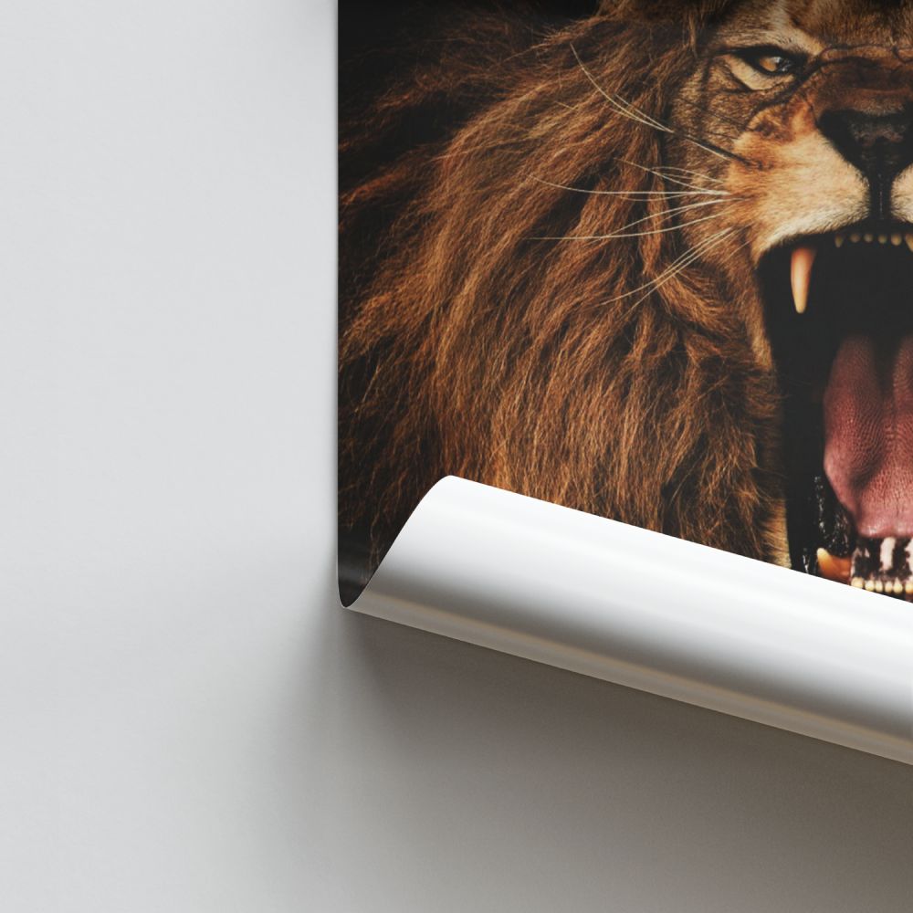 Poster Lion Rage