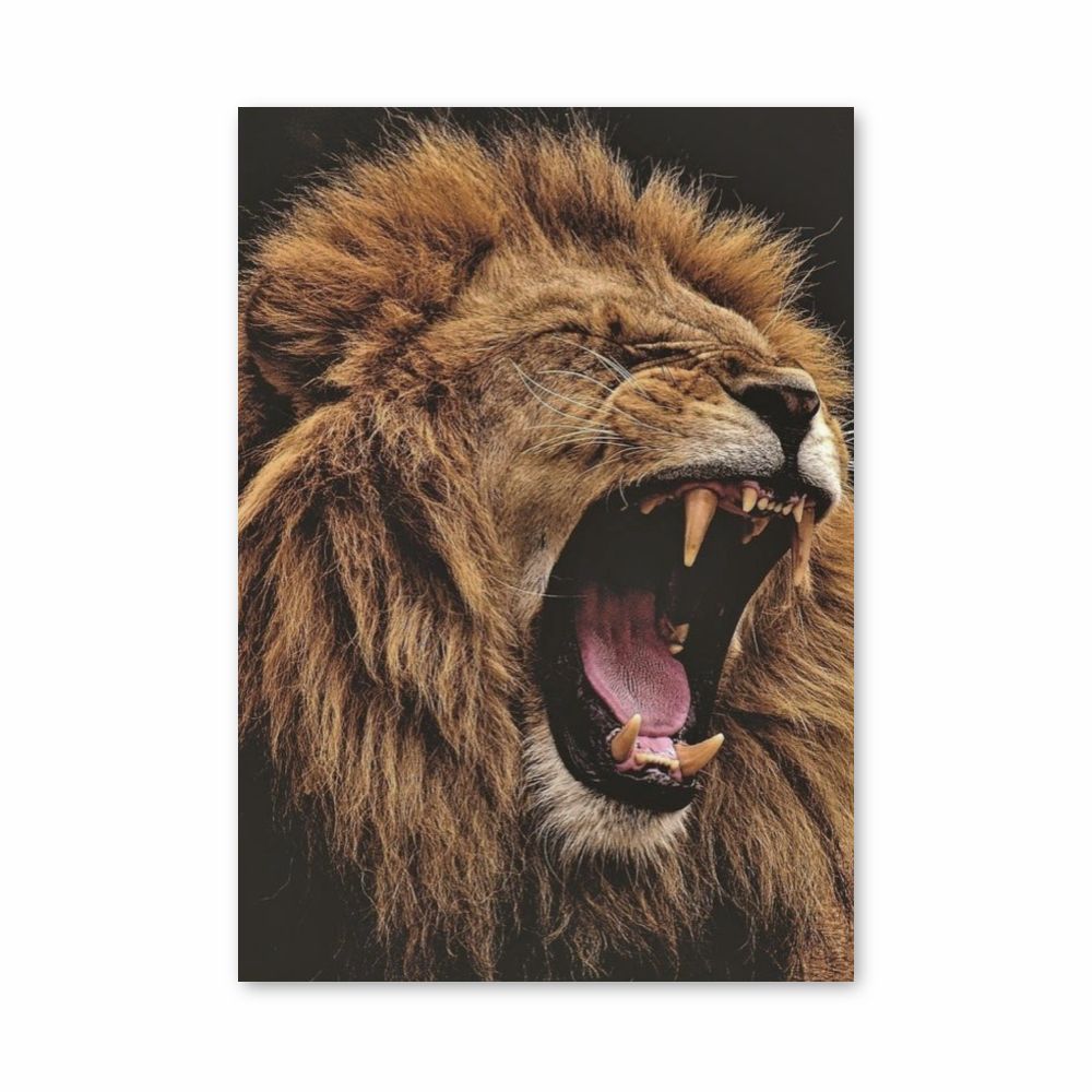 Poster Lion Dents