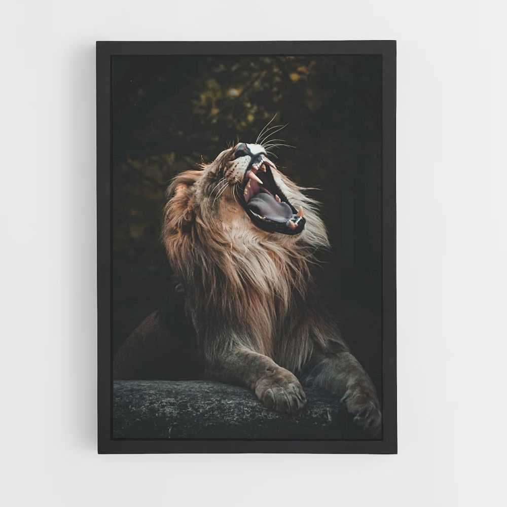 Poster Lion Baille