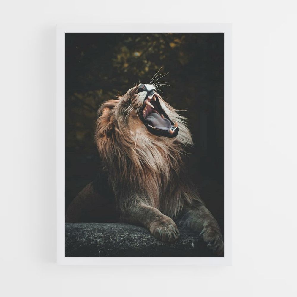 Poster Lion Baille