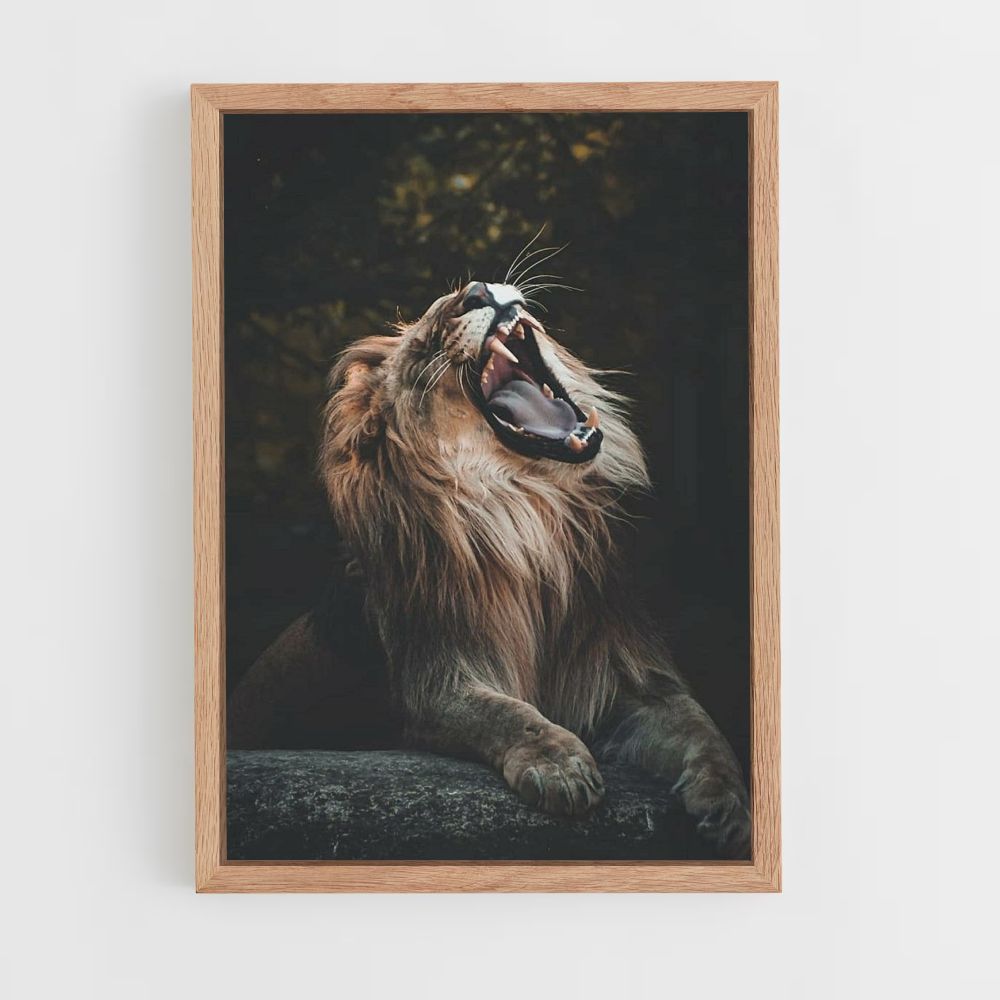 Poster Lion Baille