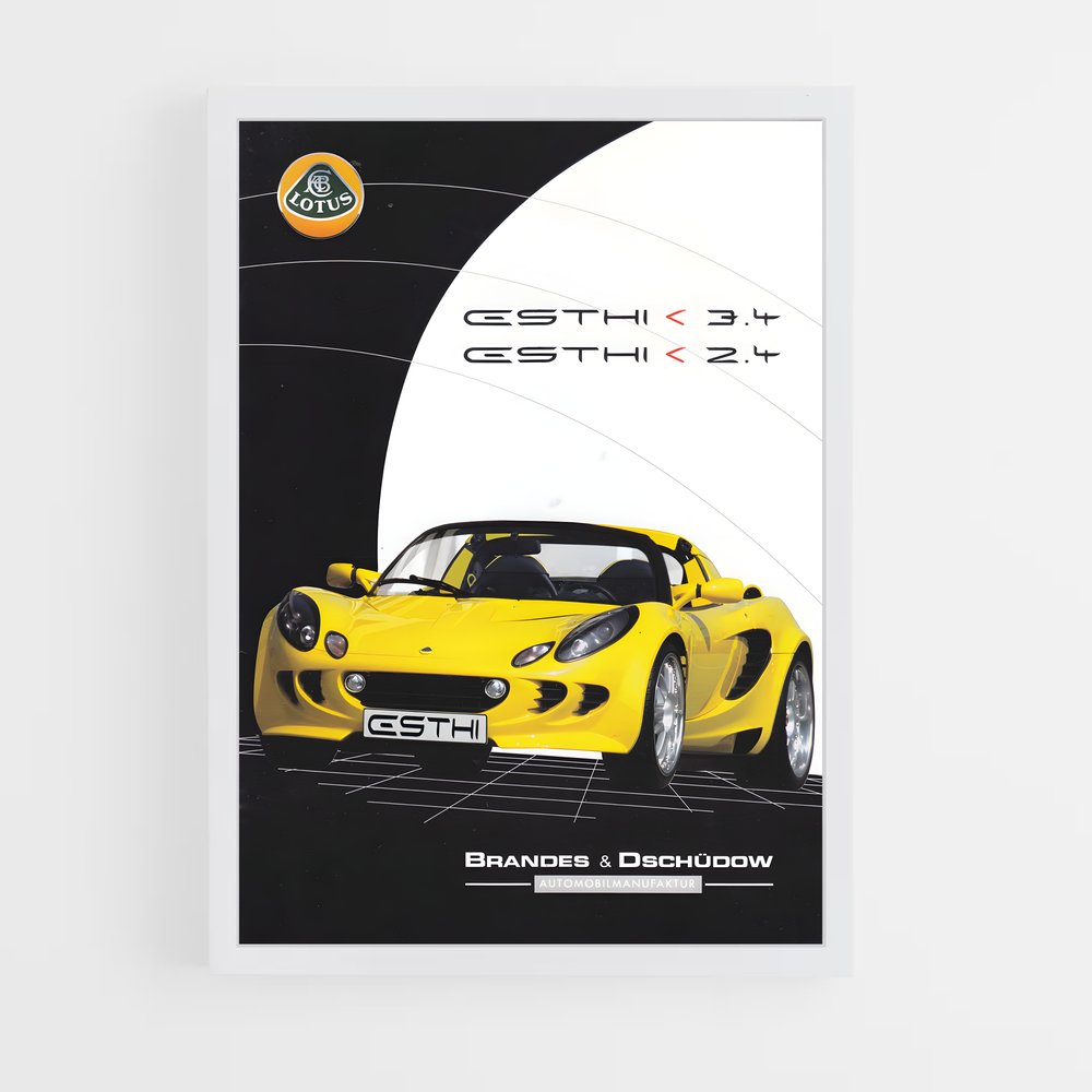 lotus-6 cadre Blanc