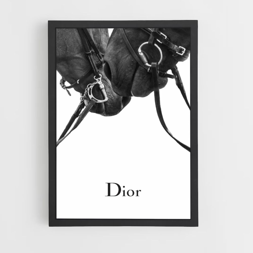 Poster Dior Chevaux