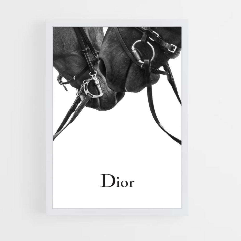 Poster Dior Chevaux