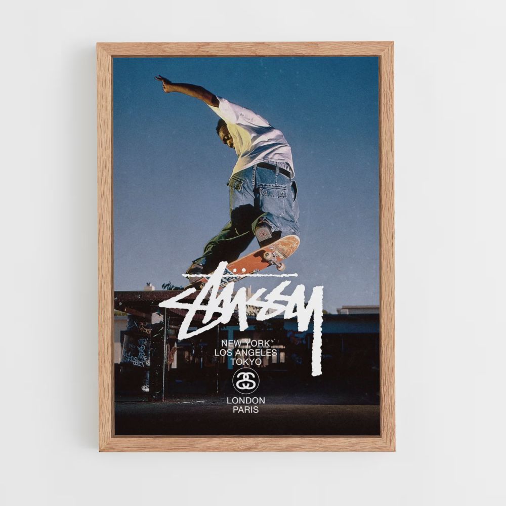 Poster Stussy Skate