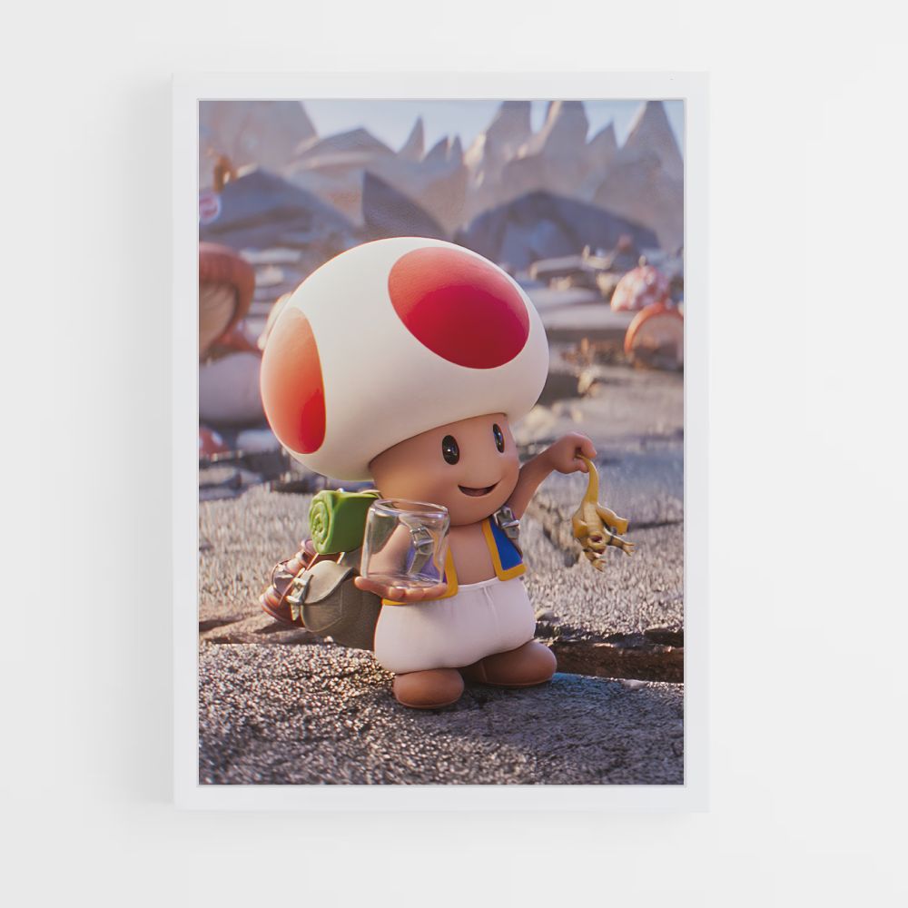 Poster Toad