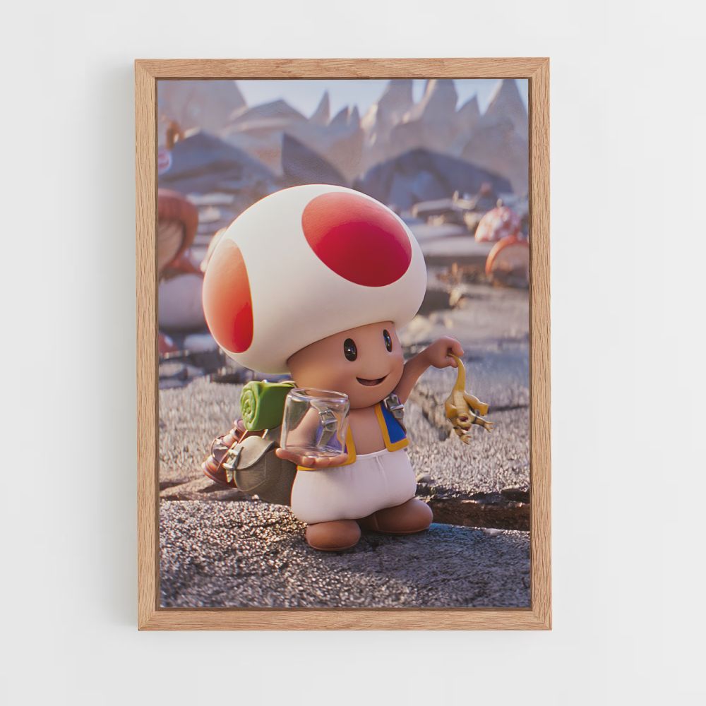 Poster Toad