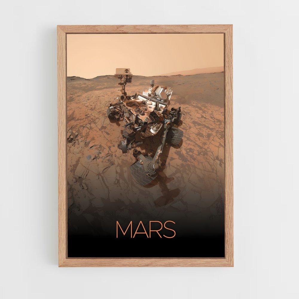 mars-13 cadre Bois clair
