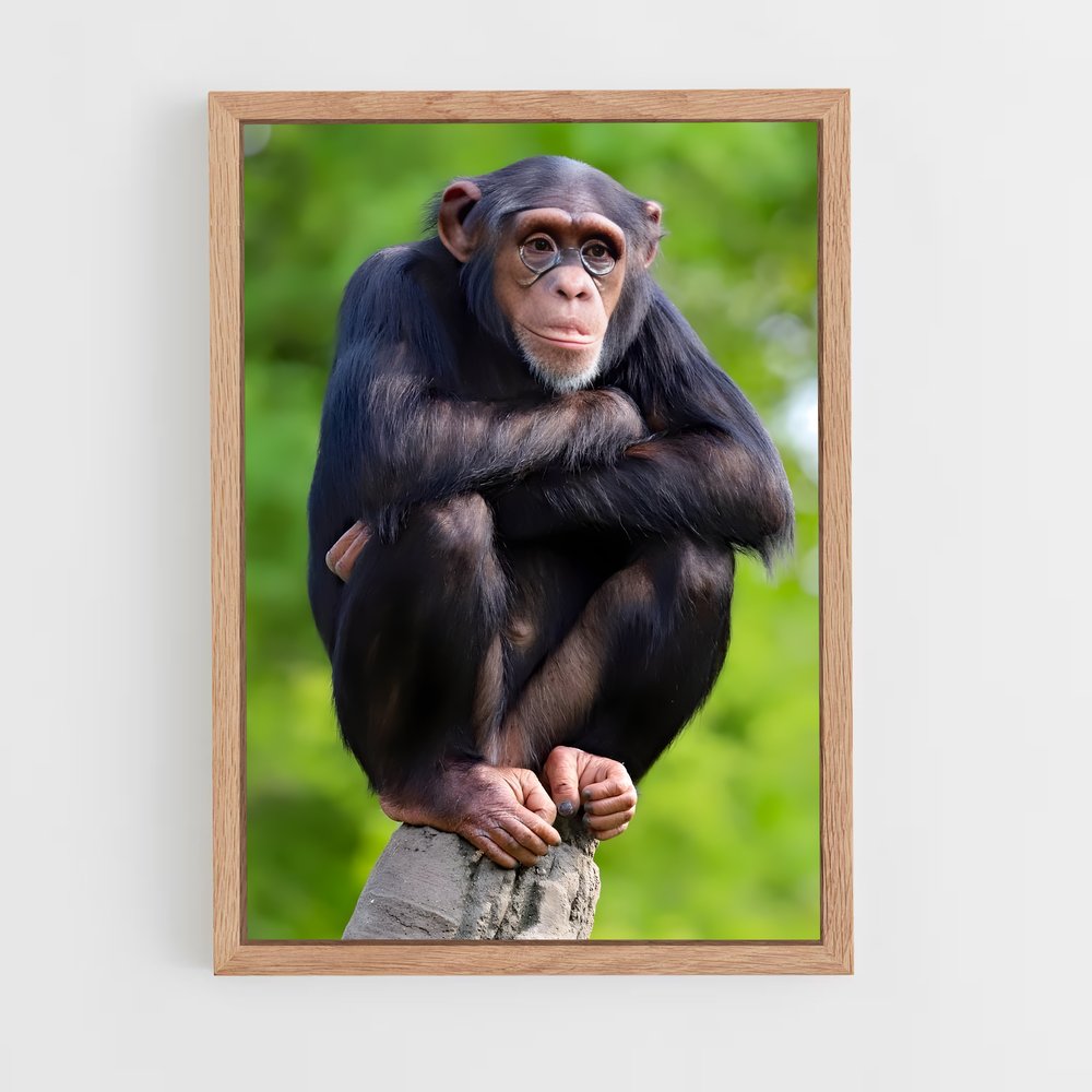 monkey-12 cadre Bois clair