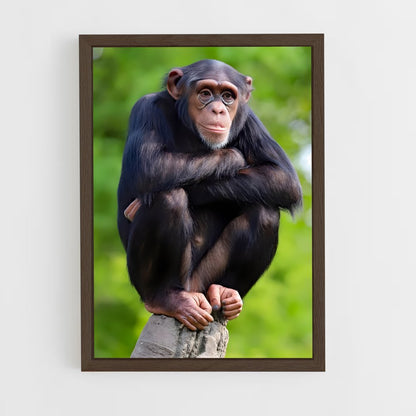 monkey-12 cadre Bois foncé