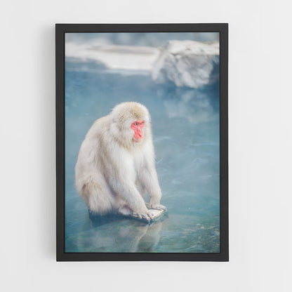 monkey-9 cadre Noir