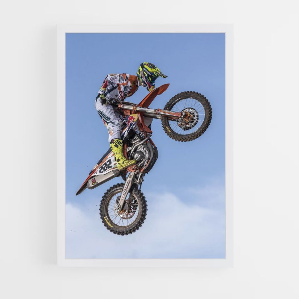 Poster Moto Figure