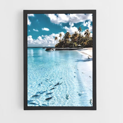 ocean-3 cadre Noir