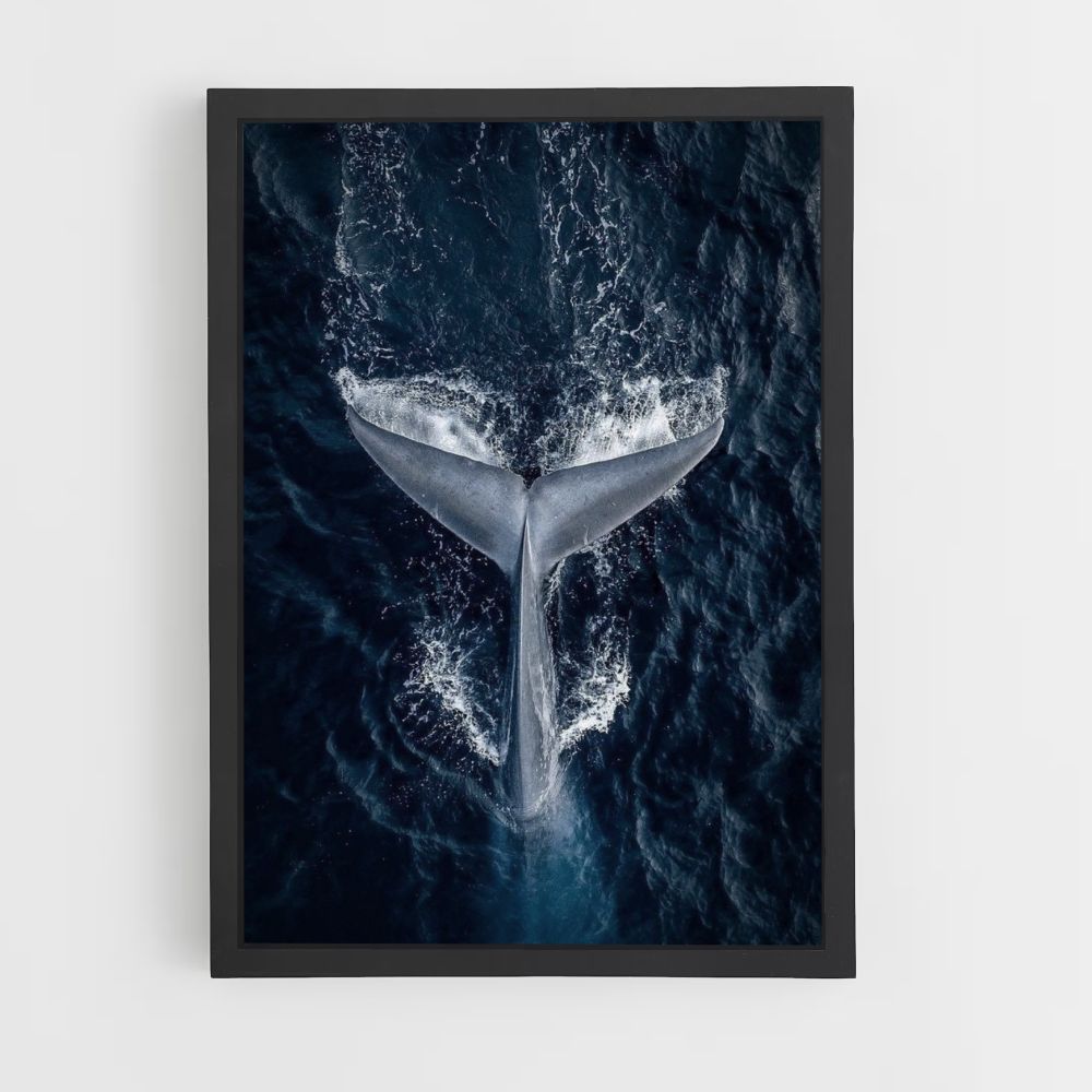 Poster Baleine