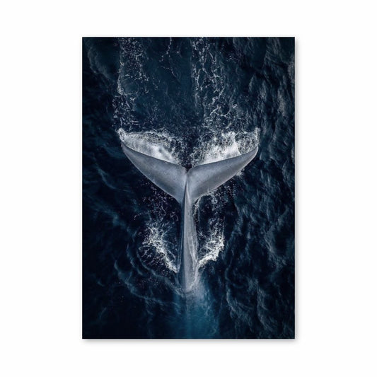 Poster Baleine