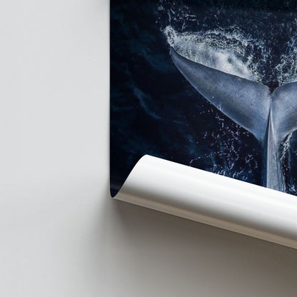 Poster Baleine