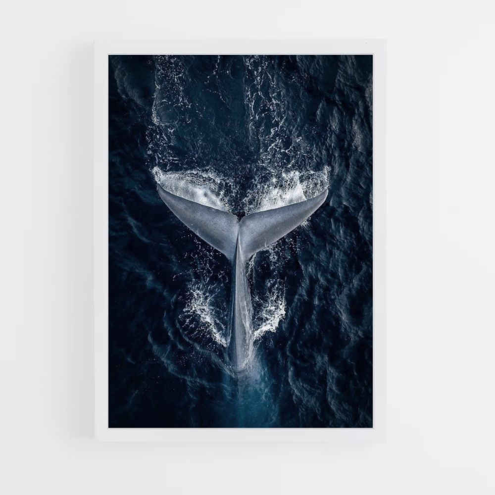 Poster Baleine