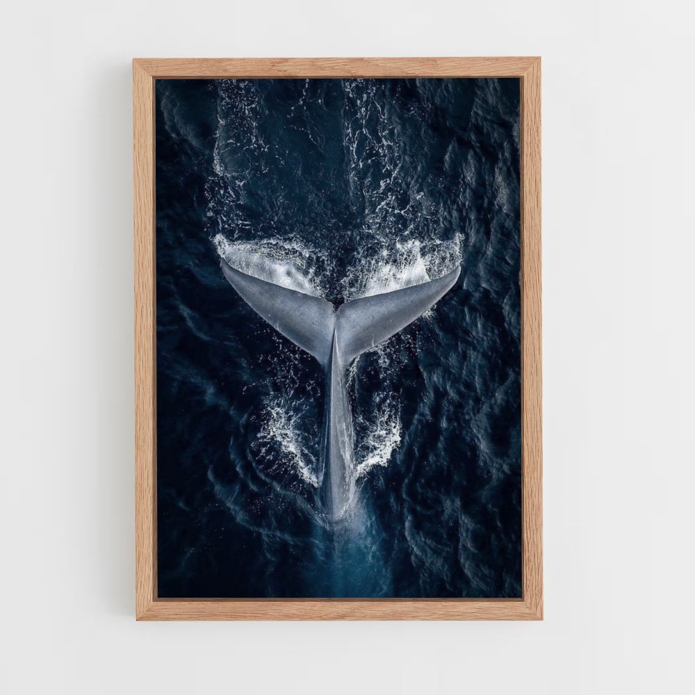 Poster Baleine