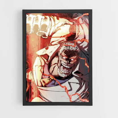 Poster Vice Amiral Garp