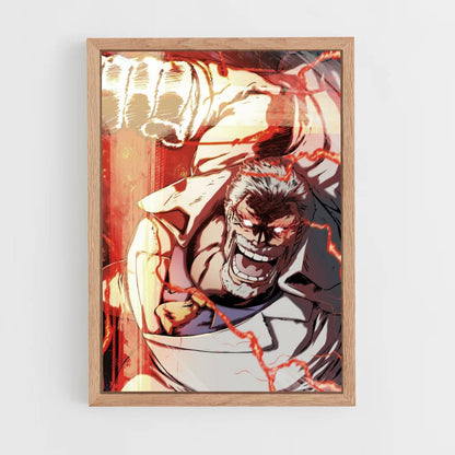 Poster Vice Amiral Garp