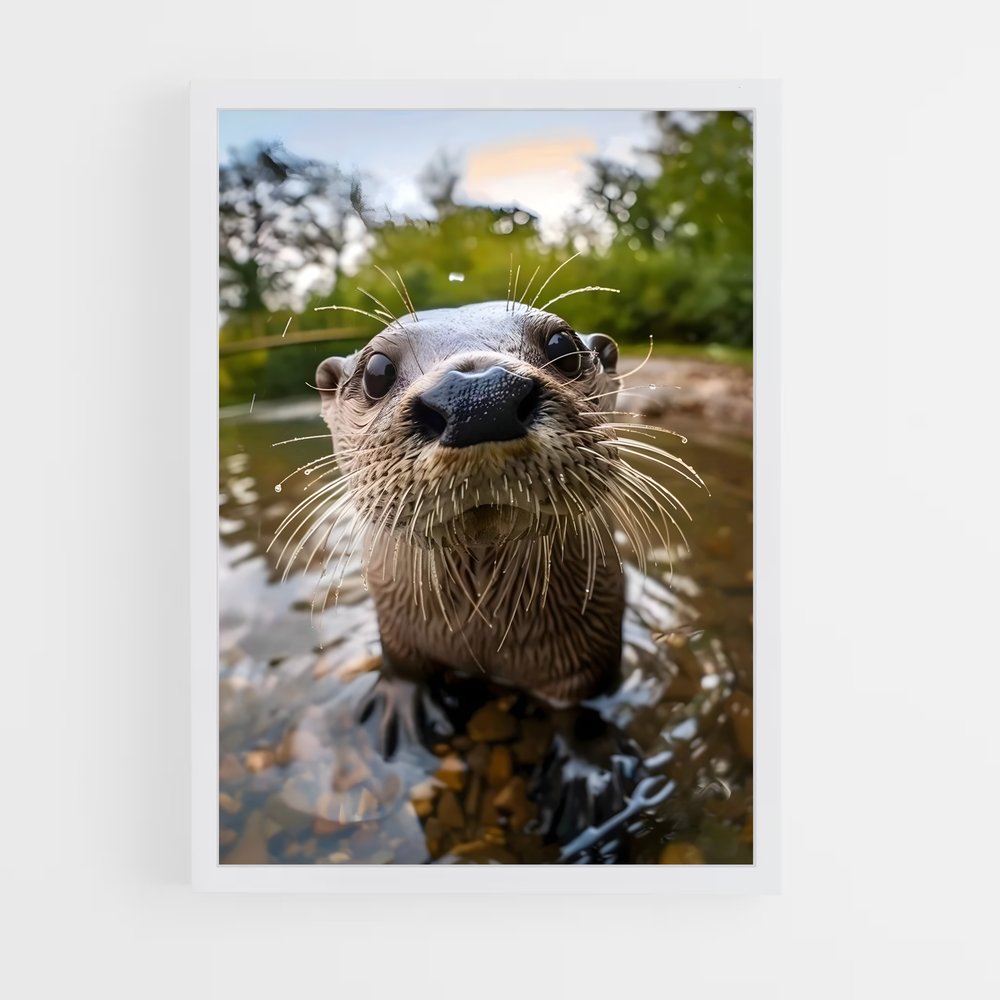 otter-4 cadre Blanc