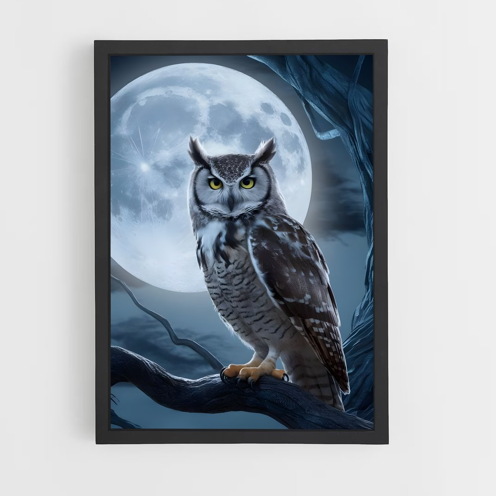 owl-12 cadre Noir