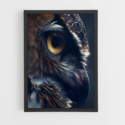 owl-13 cadre Noir