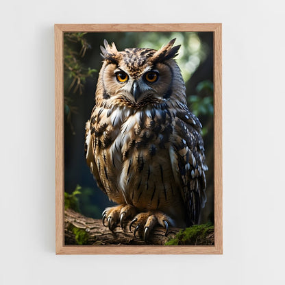 owl-14 cadre Bois clair