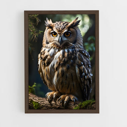 owl-14 cadre Bois foncé