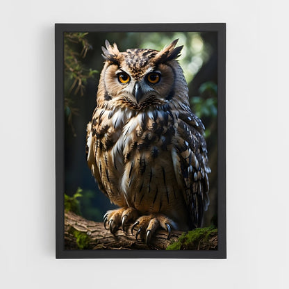 owl-14 cadre Noir