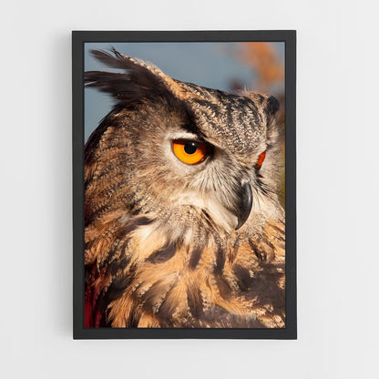 owl-4 cadre Noir