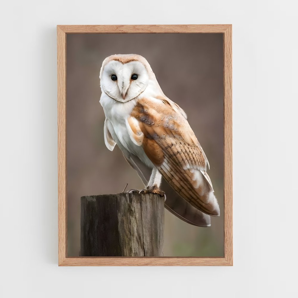 owl-6 cadre Bois clair
