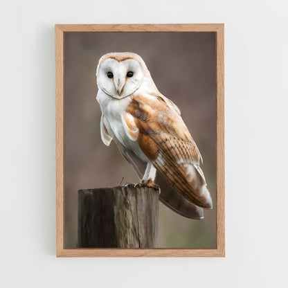 owl-6 cadre Bois clair