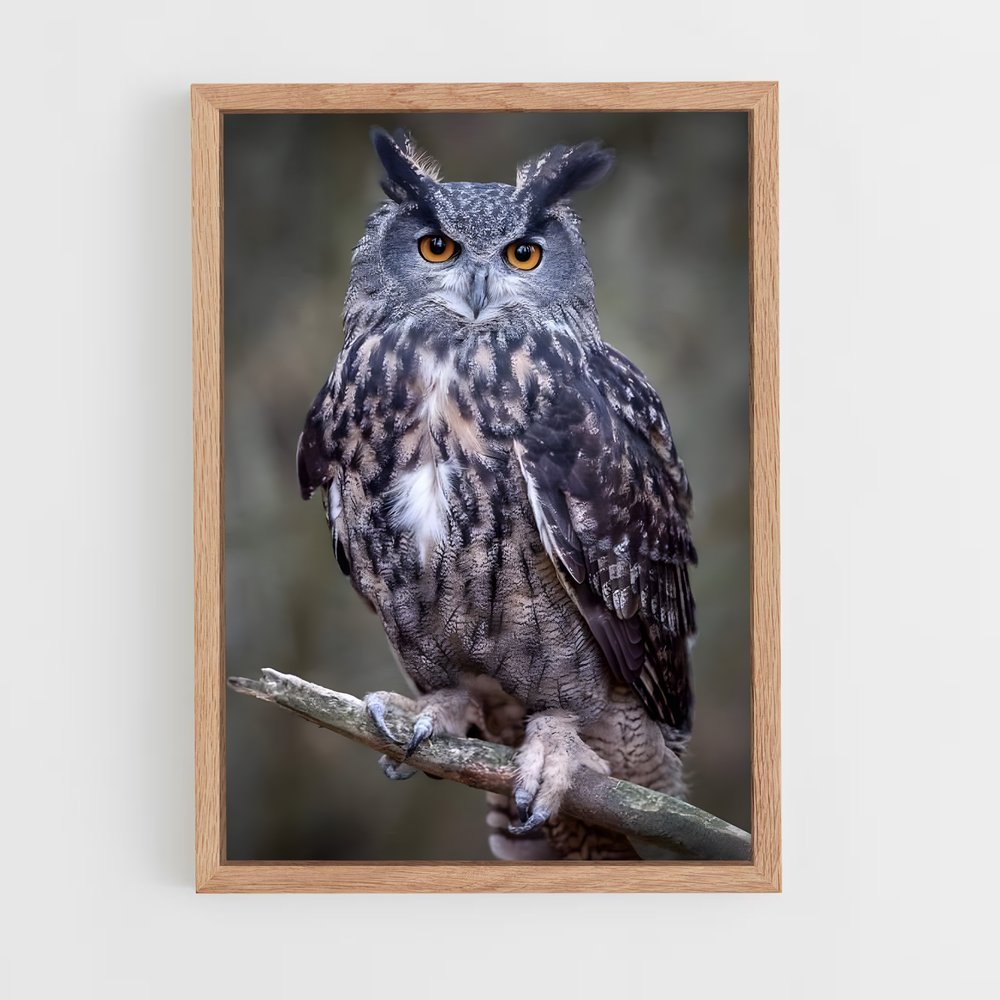 owl-7 cadre Bois clair