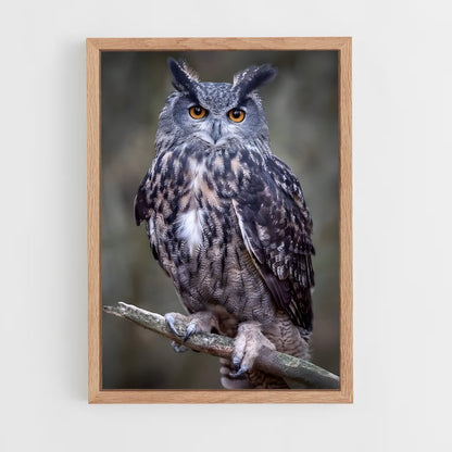 owl-7 cadre Bois clair