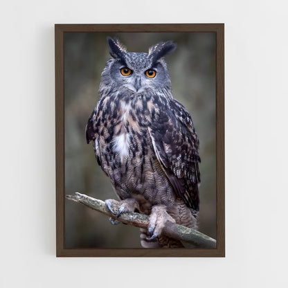 owl-7 cadre Bois foncé
