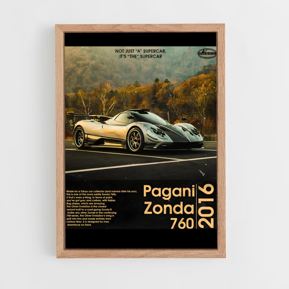 pagani-1 cadre Bois clair