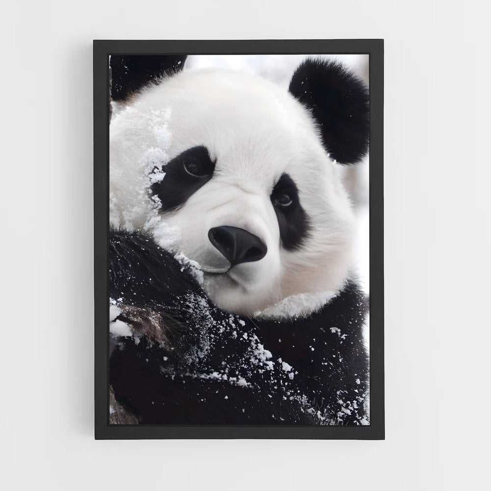panda-4 cadre Noir